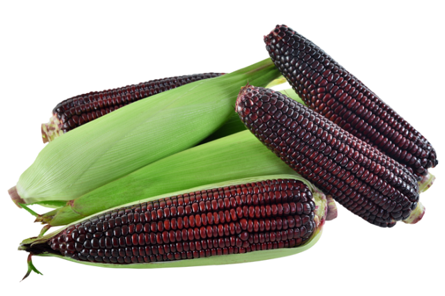 紫玉米 (Purple Corn)