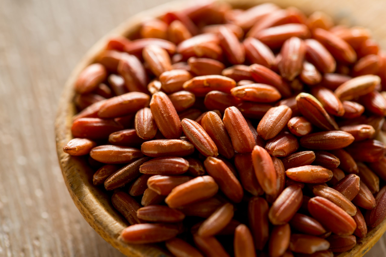 红小麦（Red Wheat）