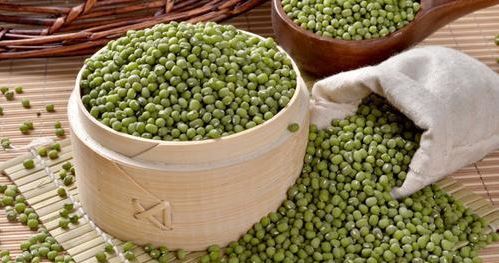 绿豆（Mung bean）